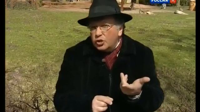 Ганновер Германия Путешествия натуралиста смотреть онлайн