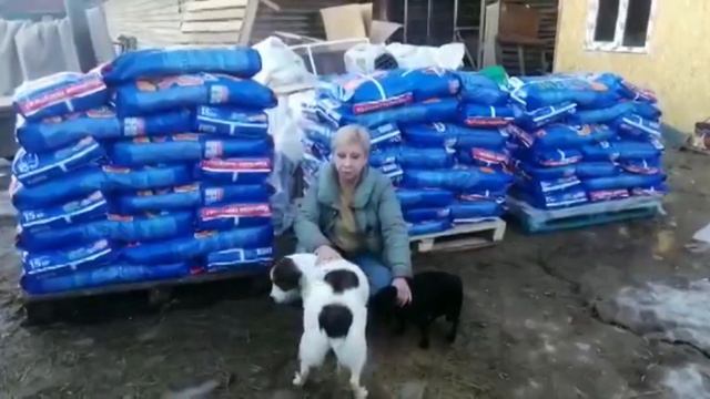 Не успели ещё отдать прежние долги, как пришлось набрать новых! смотреть онлайн