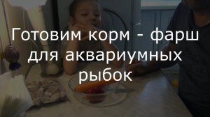 Лайфхак. Очень полезный корм для аквариумных рыбок. Готовим фарш из морепродуктов для рыбок