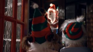 Topsy & Tim 231 - CHRISTMAS EVE | Topsy and Tim Full Episodes