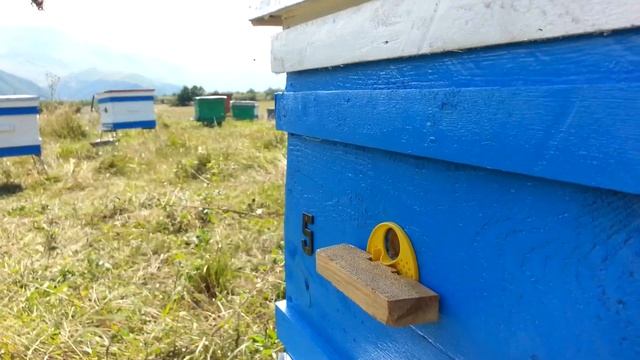 Пасека. Кусары - Азербайджан смотреть онлайн