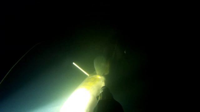 Подводная охота в Новомичуринске