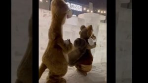 Центр семейного отдыха в Листвянке зимой