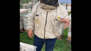 На пасеке у Ивана Стоянова, содержание  в 8 рамочных Рогатых ульях на 145 рамке. Часть первая.