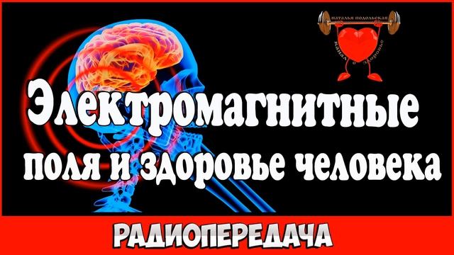 Электромагнитные поля и здоровье человека радиопередача смотреть онлайн