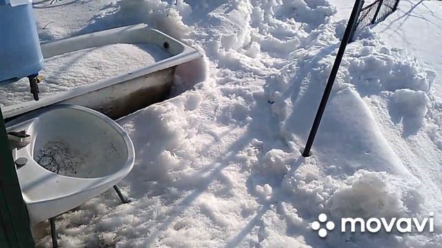 Откапываем теплицы.Рассада.Улов.Макси купается.Закоптили рыбу.Пирожки.Пеларгонии Блины Поделка смотреть онлайн