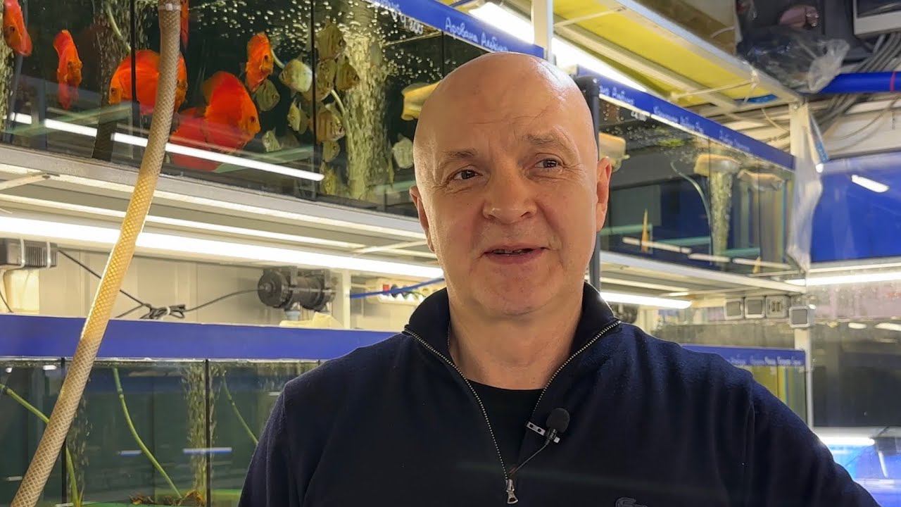 Наша разводня / Завоз рыбы собственного разведения / Птичий рынок 2024 смотреть онлайн