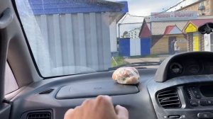 ТРИ ПОЛОМКИ ЗА ОДИН ДЕНЬ (((