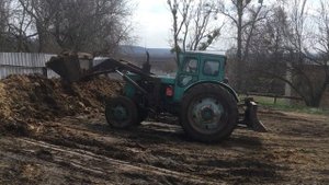 Погрузка навоза трактором Т-40АМ на Зил 131
