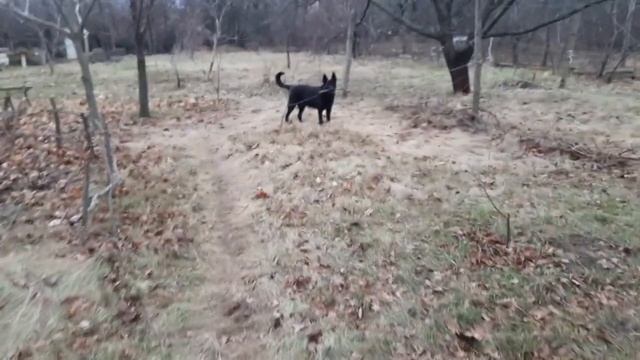12декабря. Громко ночью/Зернодробилка из болгарки/Рэй!