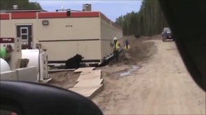 Мужик напугал коллегу до ужаса в костюме медведя