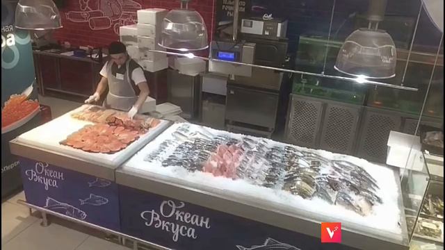 Один из рабочих дней начинающего блогера, блогер хаёти смотреть онлайн