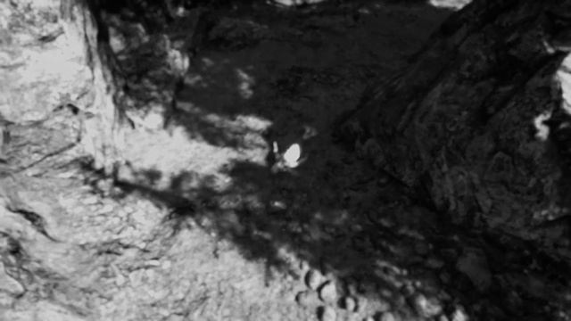 Far Cry 5. Прохождение сюжета. # 4 смотреть онлайн