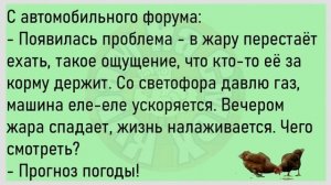 ?На Даче Муж Кричит Жене...Большой Сборник Смешных Анекдотов,Для Супер Настроения!