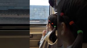 Атипичный аутизм | Цвета