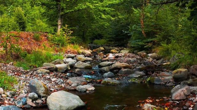?Чарующая Музыка Флейты. Слушайте и Наслаждайтесь- Paradise 4K.