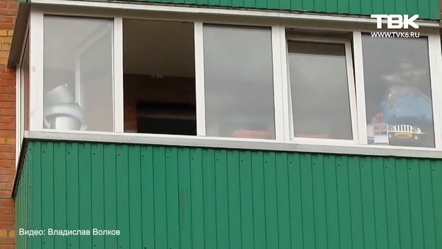 Ребёнок чуть не сбросил кошку с балкона в Красноярске