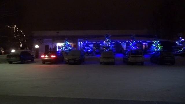 Новогодние наряды Шарлыка 2016