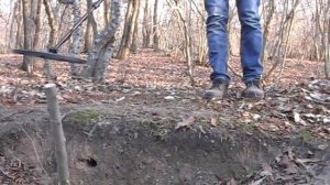 AKA Intronik test with can