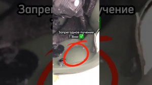 Честный отстрел шлема RUSCORE Арамид vs СВМПЭ