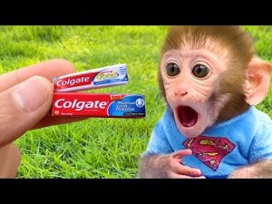 обезьянка чистит зубы