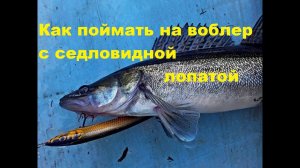 Как поймать на воблер с седловидной лопатой
