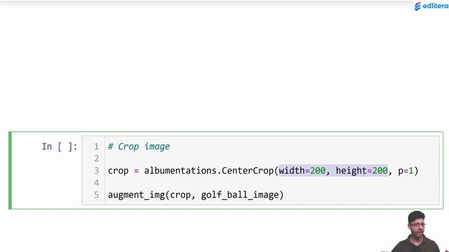 How to Apply Spatial-Level Transformations to Images смотреть онлайн