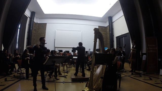 Mozart Concert for Flute Transversal and Harp and Orchestra KV 299 C Major смотреть онлайн