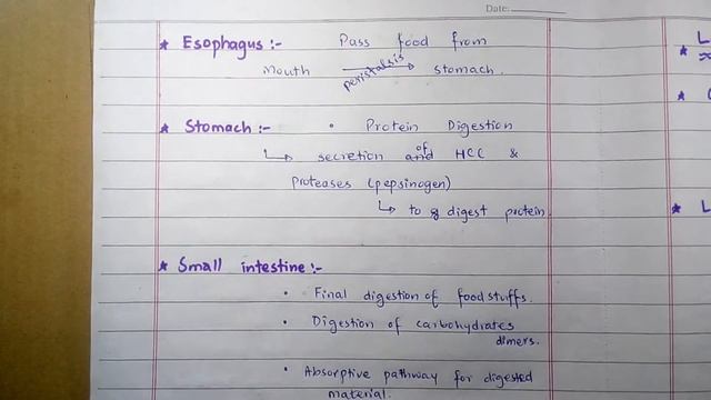 Primary Functions Of GIT(Gastrointestinal Tract) Organs & Glands . | Medico Star. смотреть онлайн