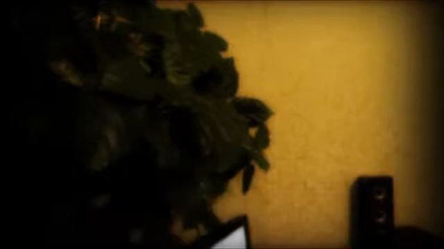 Сколько мне осталось.wmv смотреть онлайн