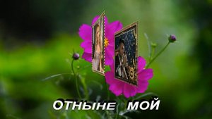 Сборник 30 Денису от Даши