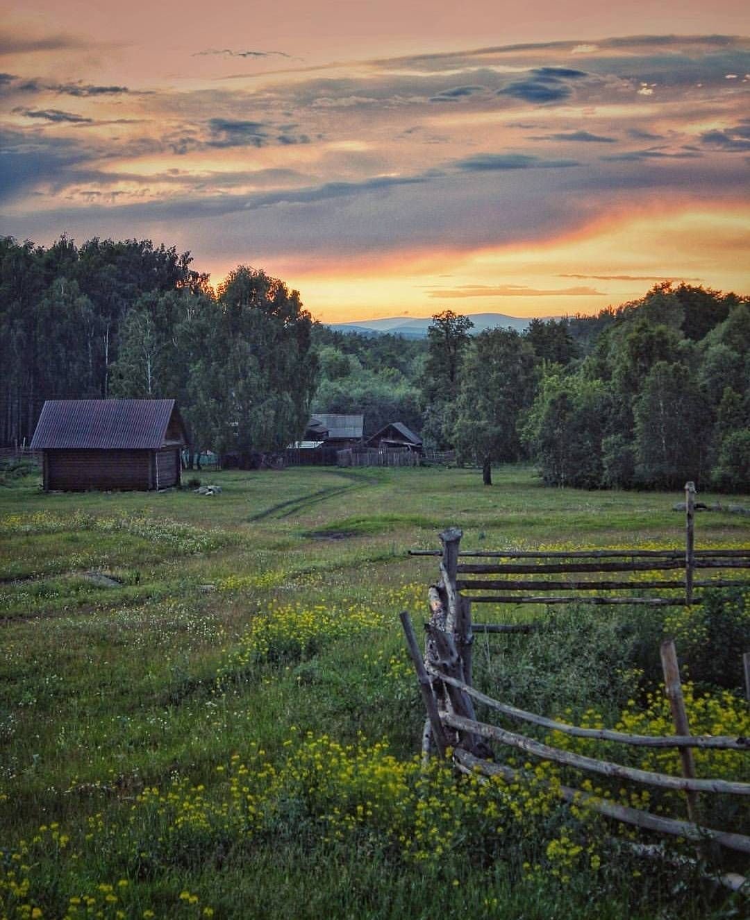 Натуральная деревня лето