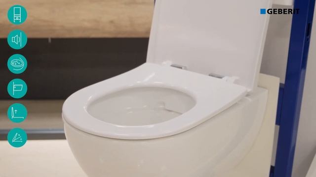 Комплект с унитазом Geberit Acanto. Арт. 500.128.21.A