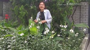 Песня ,, Возраст не помеха " #26