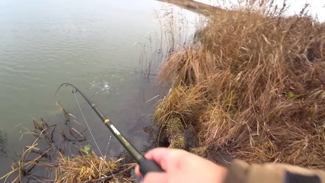 Эти ЩУКИ рвут поролон в клочи ! ДЖИГ с БЕРЕГА! Рыбалка на спиннинг с берега в ноябре! смотреть онлайн