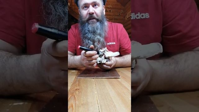 Что происходит с позвоночник ом почему. Болит анатомия физиология смотреть онлайн