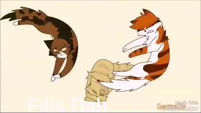 Коты воители- Пестролистая и Огнезвезд " Непохожие"