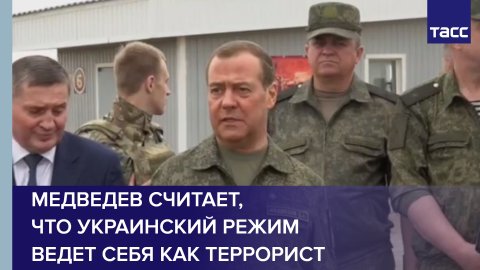 Медведев считает, что украинский режим ведет себя как террорист