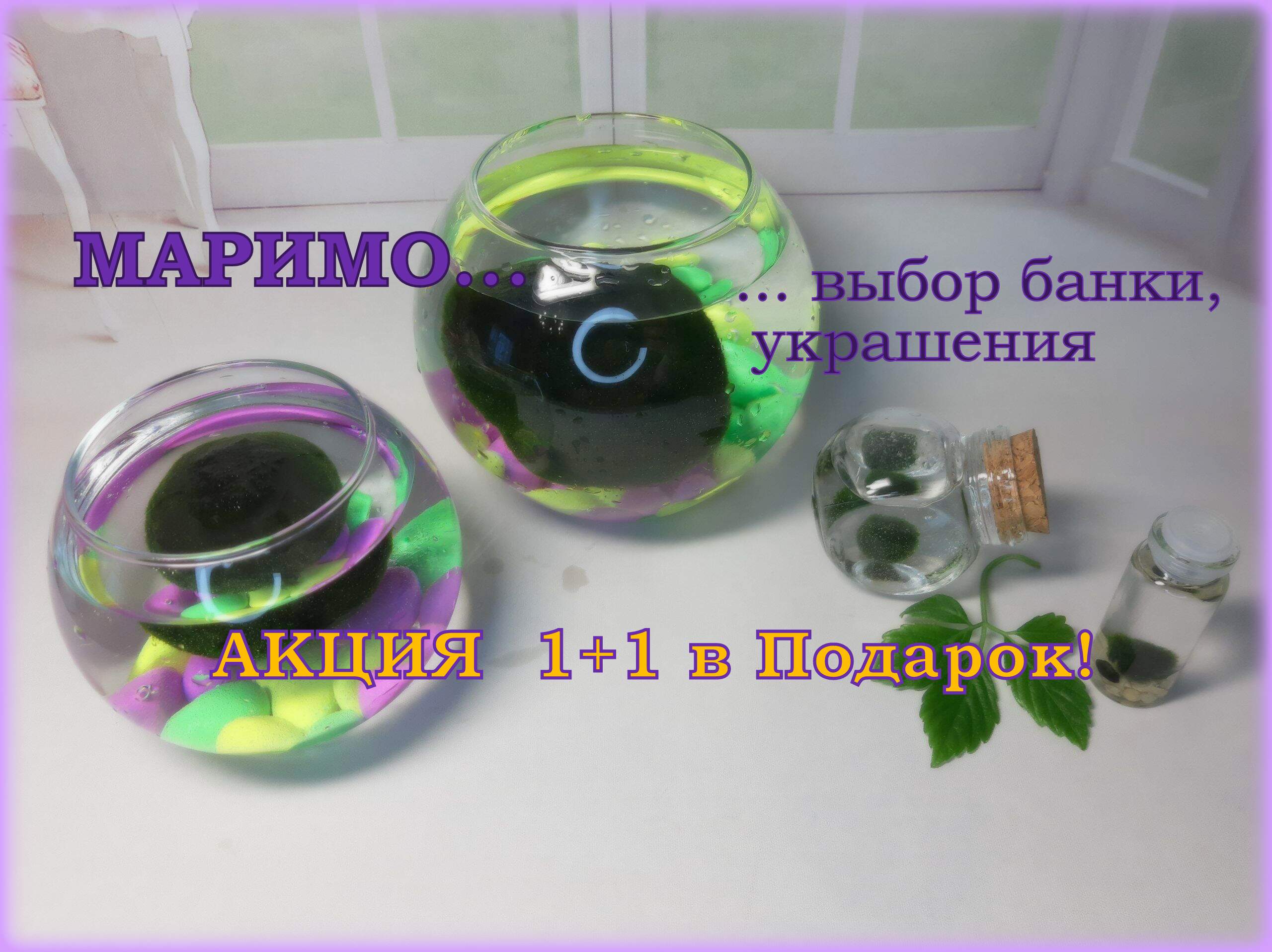 Выбираем домик для Маримо, украшаем...