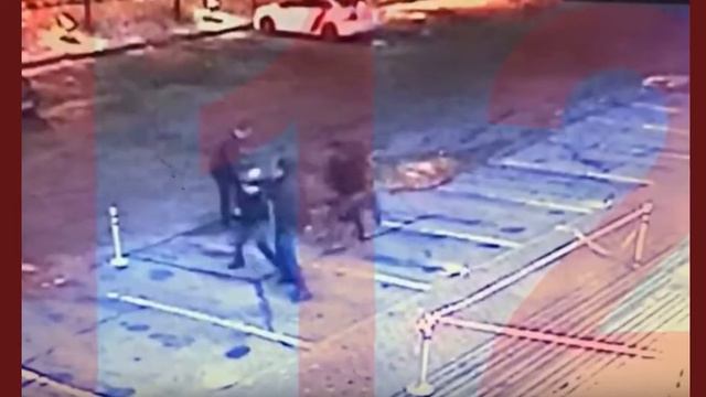 Избивших сына Жванецкого студентов МГИМО задержали в Москве смотреть онлайн