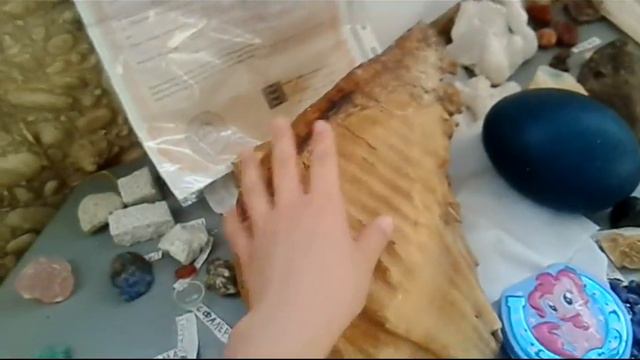 МОЯ КОЛЛЕКЦИЯ МИНЕРАЛОВ И ГОРНЫХ ПОРОД смотреть онлайн