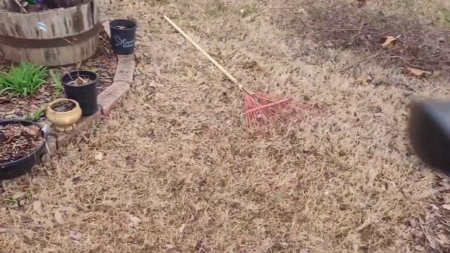 Trabajando y PLANTANDO(Como nos preparamos para resivir la promavera #youtube #landscape смотреть онлайн