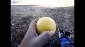 Медовое яблоко.