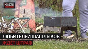 В Истре штрафуют любителей разводить костры в лесах