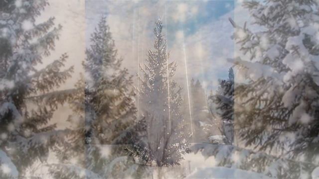 К.Д. Ушинский. Сказка "Спор деревьев" (читает воспитатель Демянко Т.В.) смотреть онлайн