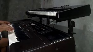 Roland E 500 Tes Style Music