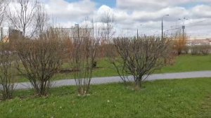 Рынок на Дубровке и мой салон красоты.