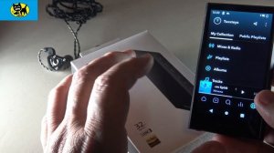 Sony NW-A306 Walkman - Tidal / Streaming Services & Hi-Res Portable