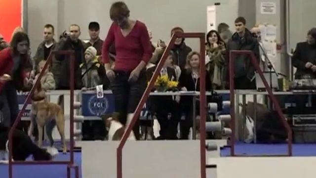 Флайбол! Впервые в России!!! смотреть онлайн