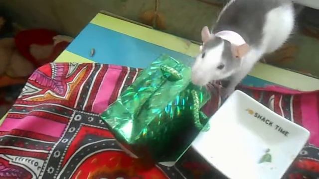 мой чемодан на пляж!!!! смотреть онлайн